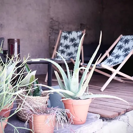 Grande Maison Gannat - Maison Ou Appartements En Centre Ville