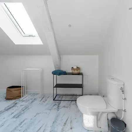 Grande Maison - Maison Ou En Centre Appartement